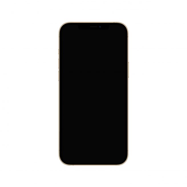 Apple iPhone  12 Pro Max Gold – Bild 3