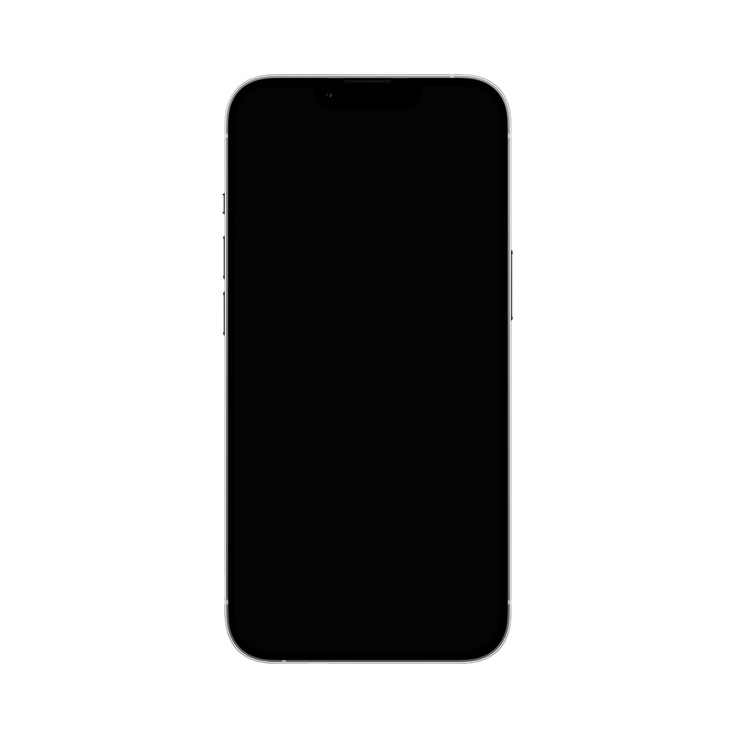 Apple iPhone 13 Pro Silber - 128 GB (Copy) (Copy) – Bild 3